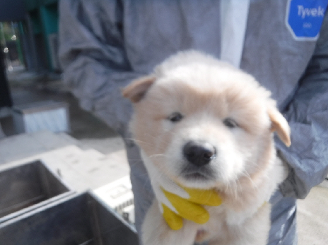 제주 동물보호센터_450650202301482