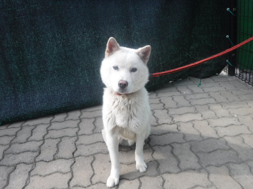 제주 동물보호센터_450650202301499