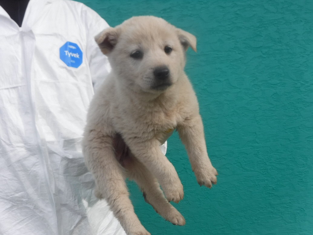 제주 동물보호센터_450650202301502