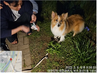 대전동물보호센터_430365202300191
