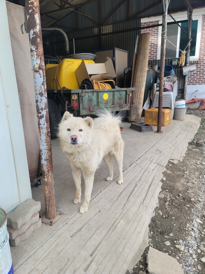 괴산증평동물보호센터_443446202300209