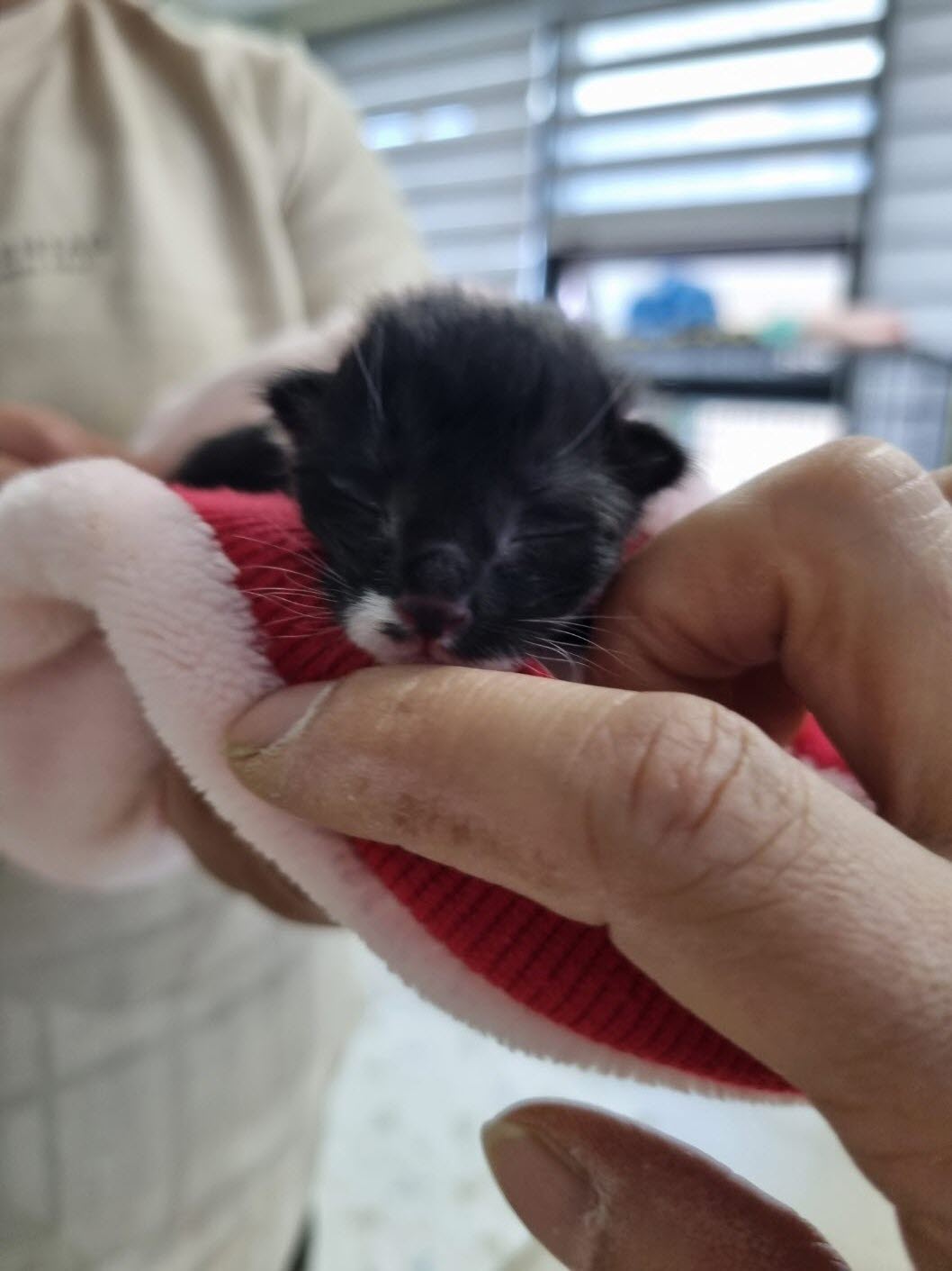 아산동물복지지원센터_444452202301016
