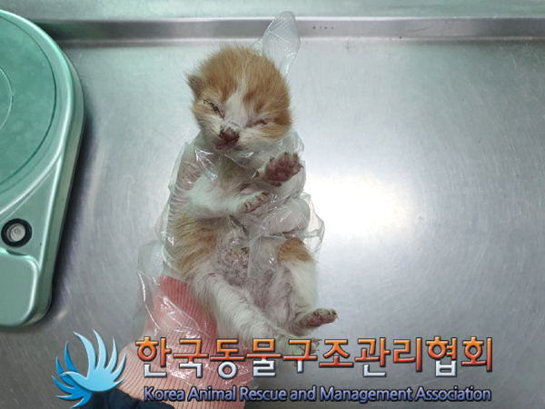 한국동물구조관리협회_411304202300310