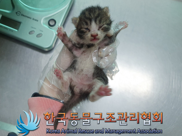 한국동물구조관리협회_411304202300314