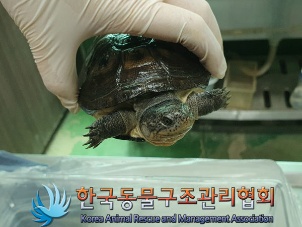 한국동물구조관리협회_411301202300266