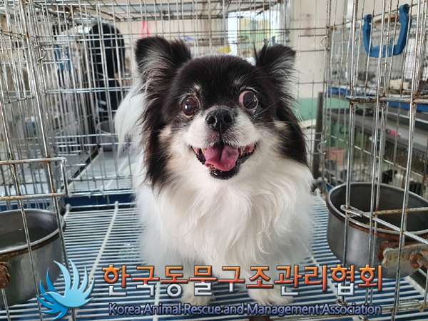 한국동물구조관리협회_411301202300268