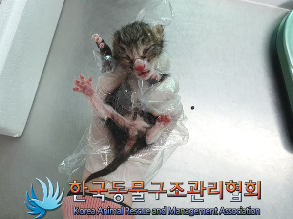 한국동물구조관리협회_411309202300184
