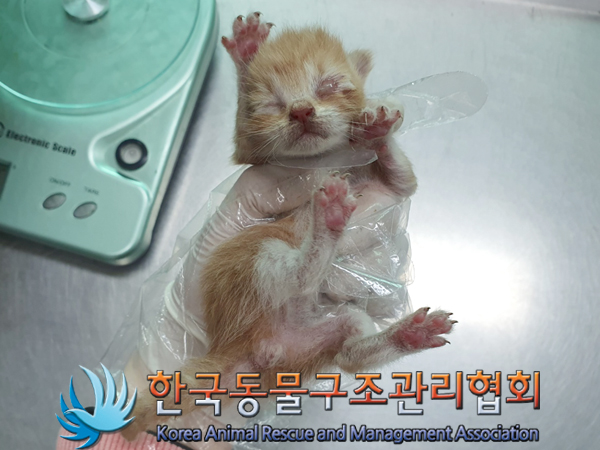 한국동물구조관리협회_411304202300312
