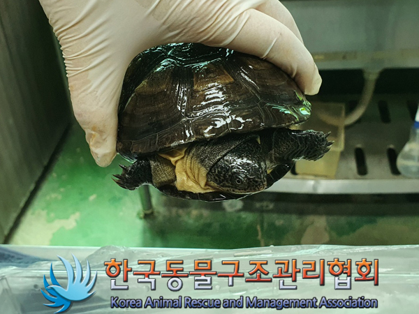 한국동물구조관리협회_411301202300267