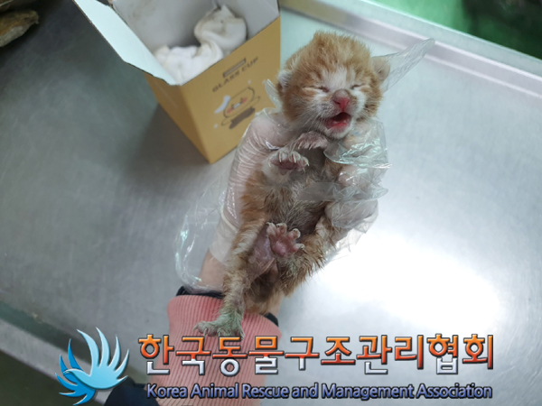 한국동물구조관리협회_411306202300332