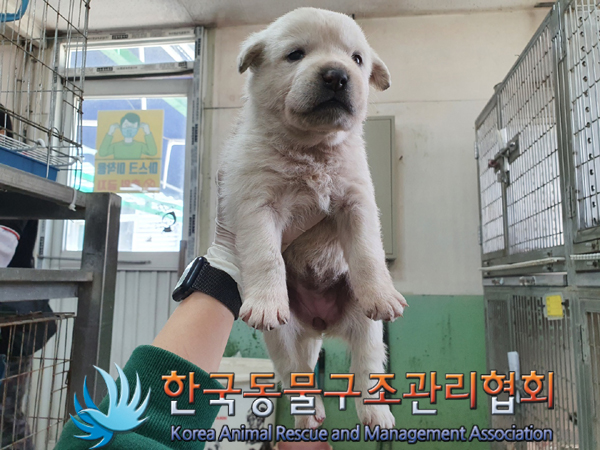 한국동물구조관리협회_441409202300681