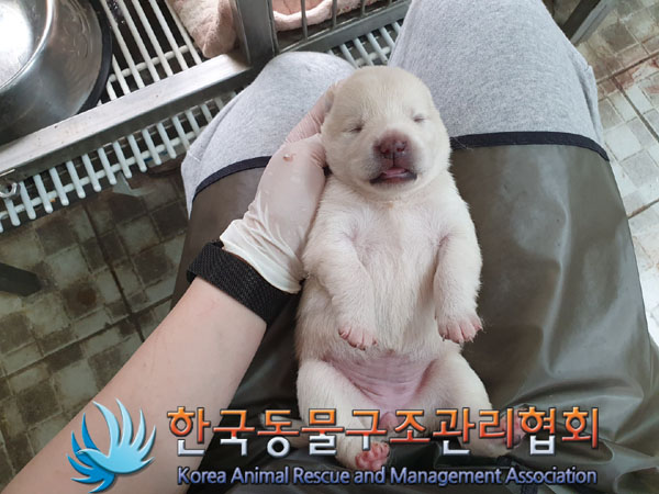 한국동물구조관리협회_441406202300615