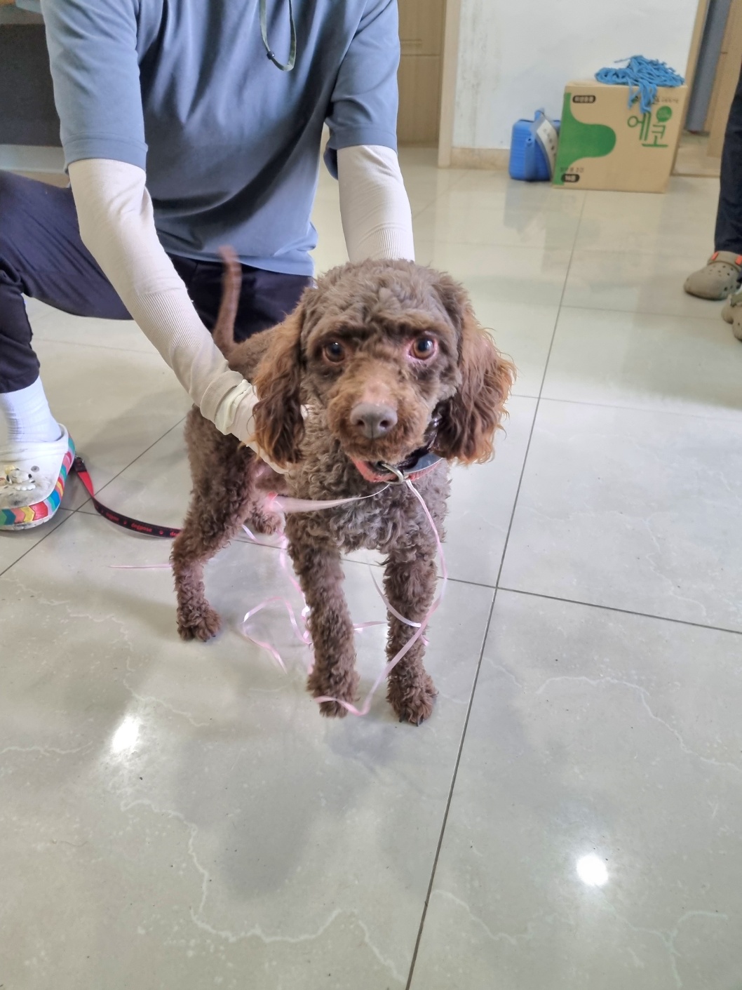 반려동물보호센터_443571202301554