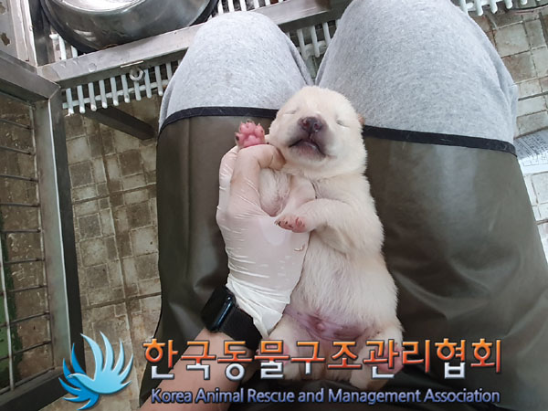 한국동물구조관리협회_441406202300619