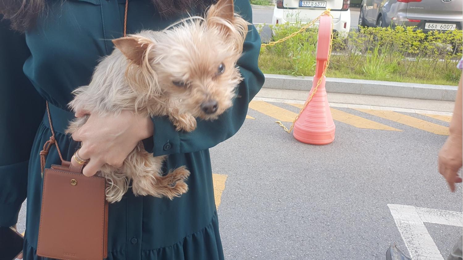 하남동물병원_441404202300178