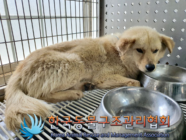 한국동물구조관리협회_441559202300360