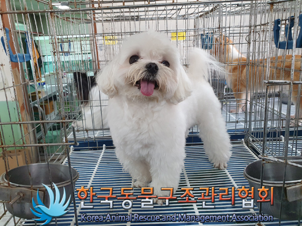 한국동물구조관리협회_411322202300312