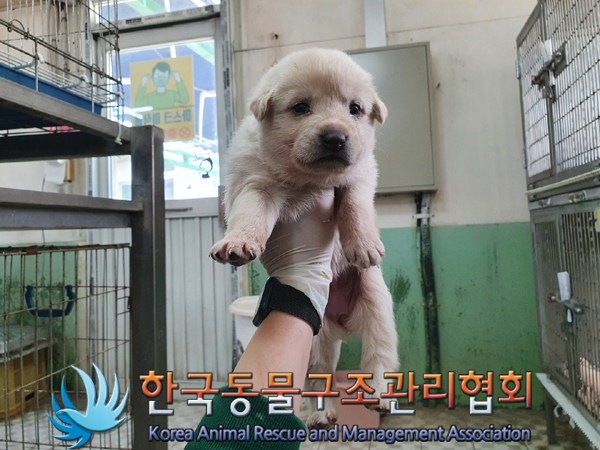 한국동물구조관리협회_441409202300680