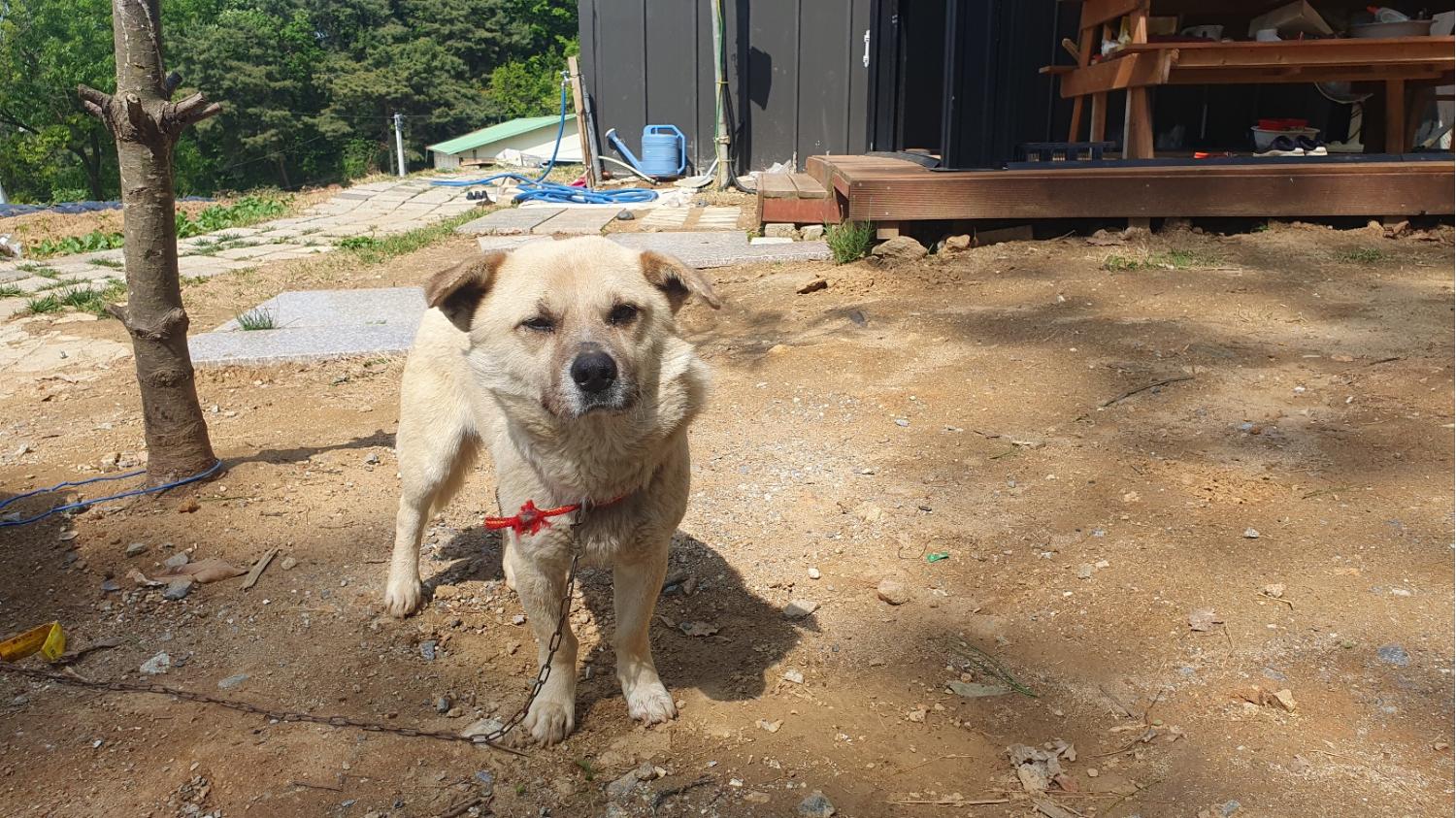 하남동물병원_441404202300179