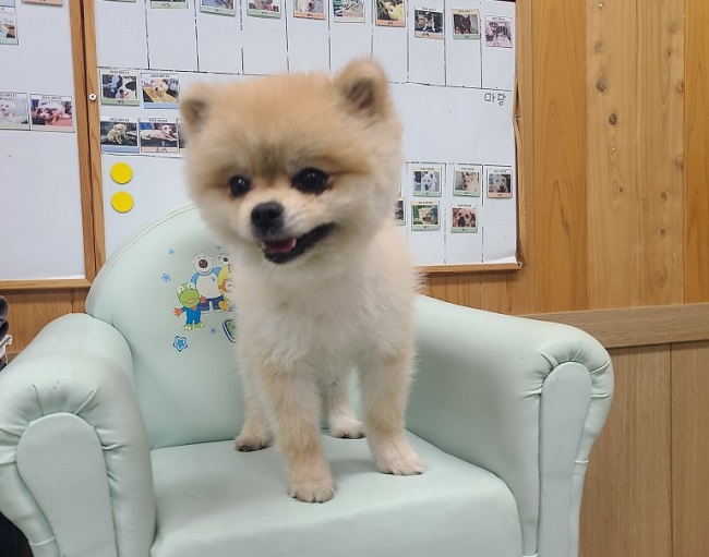 진해유기동물보호소_448532202300380
