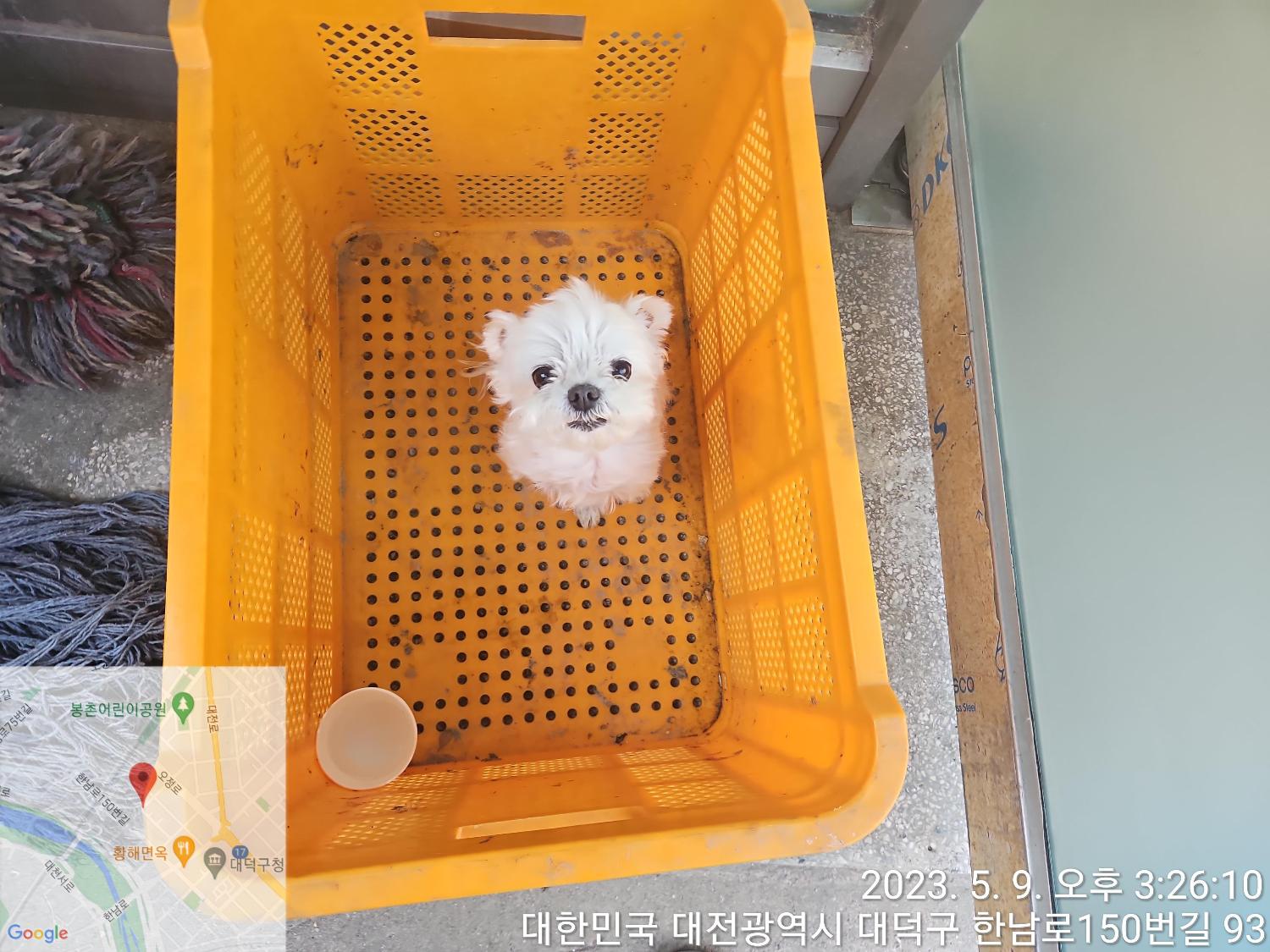 대전동물보호센터_430368202300247