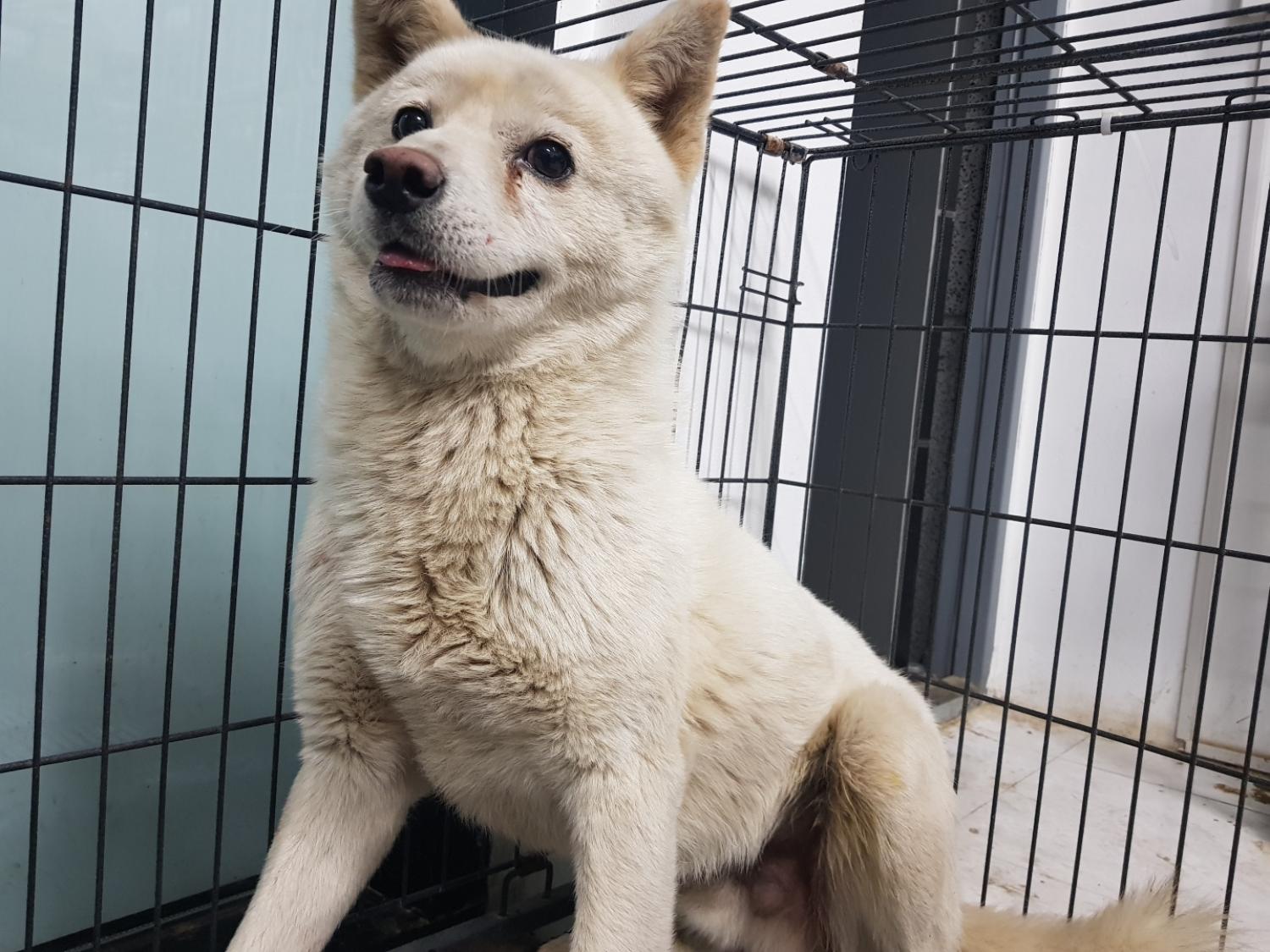 광주TNR동물병원송정_441554202300692