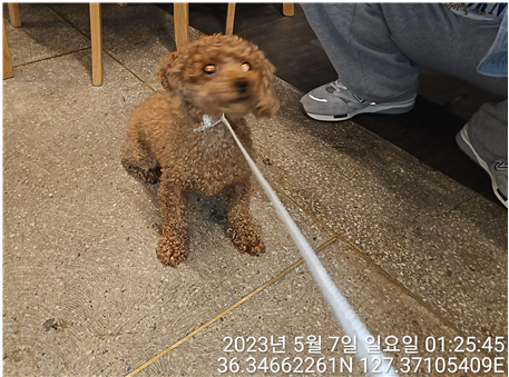 대전동물보호센터_430366202300272