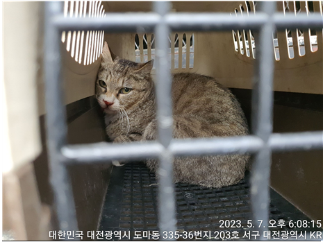 대전동물보호센터_430366202300273