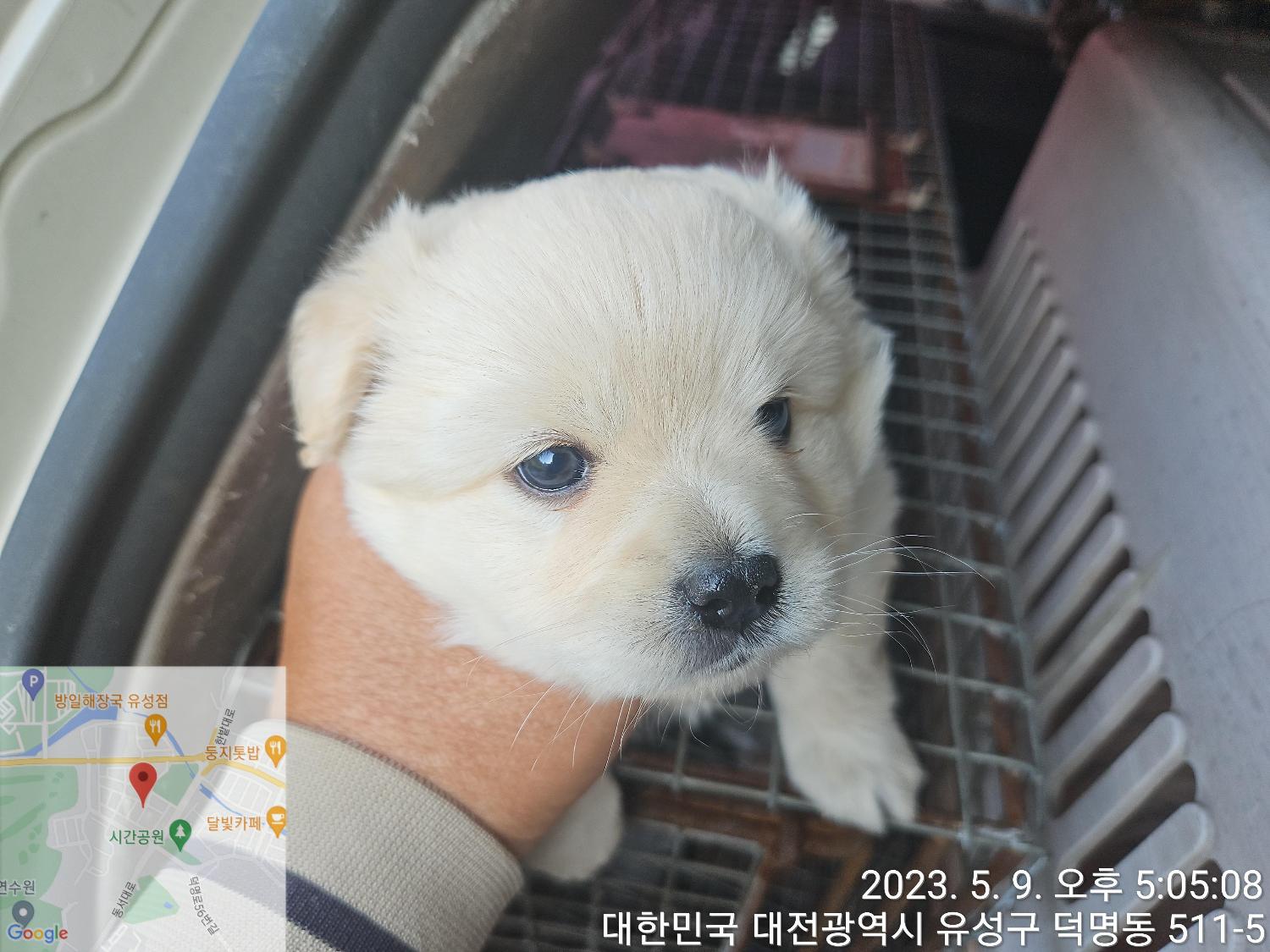 대전동물보호센터_430367202300279
