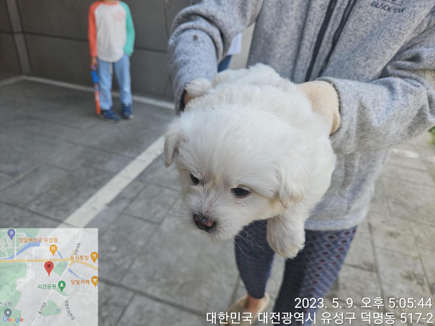 대전동물보호센터_430367202300282