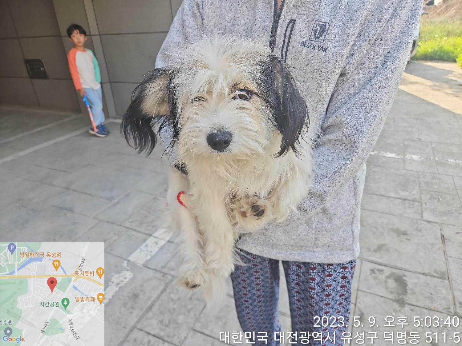 대전동물보호센터_430367202300277