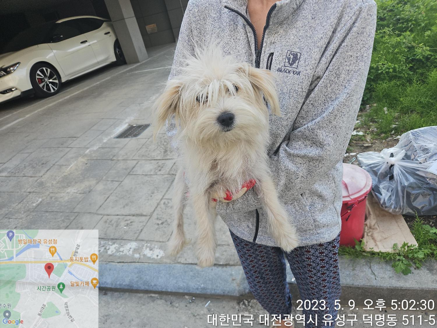 대전동물보호센터_430367202300276