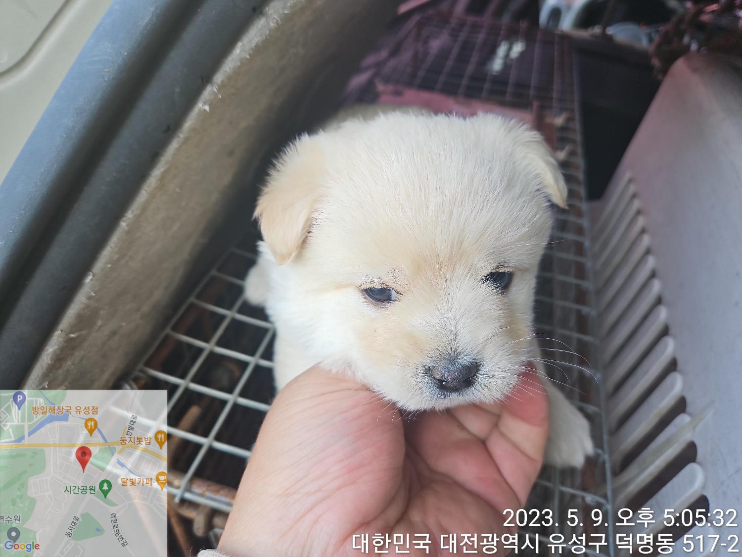 대전동물보호센터_430367202300281
