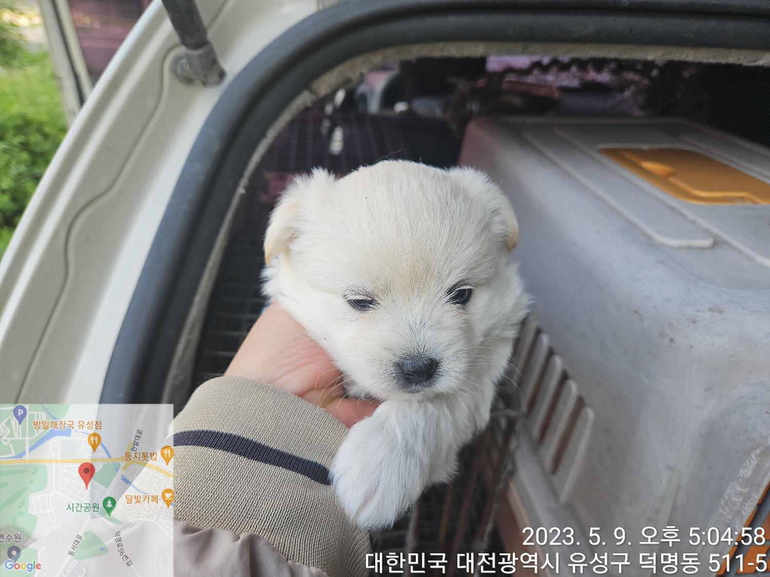 대전동물보호센터_430367202300278