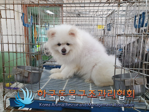 한국동물구조관리협회_441392202300071