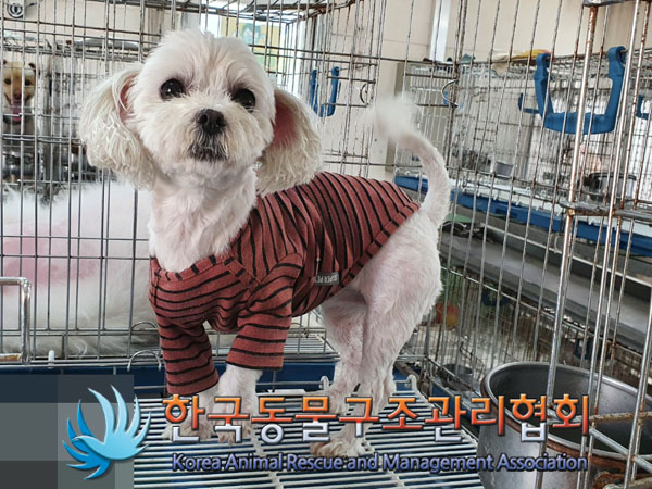 한국동물구조관리협회_411311202300333