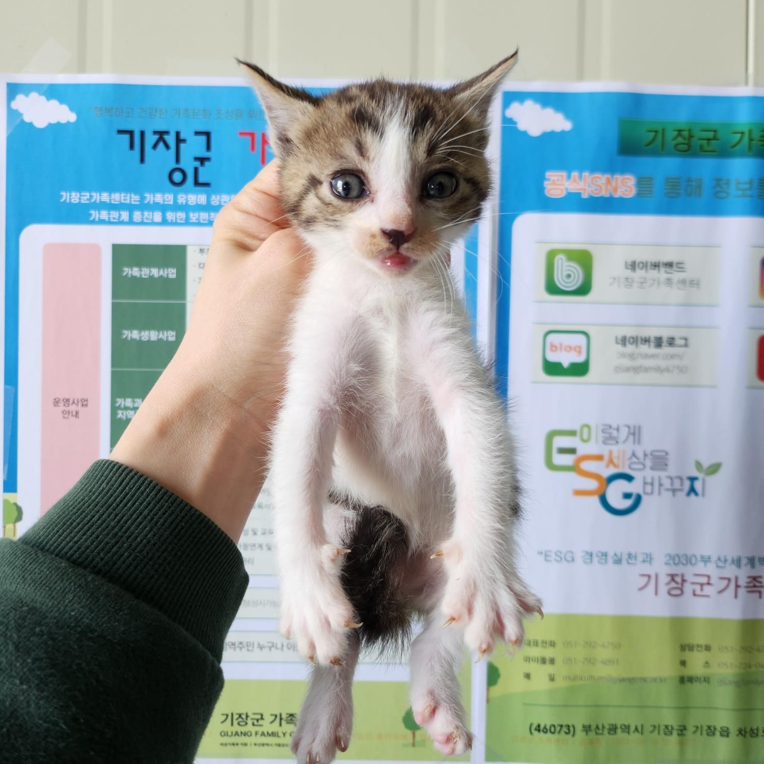 부산동물보호센터_426332202300159