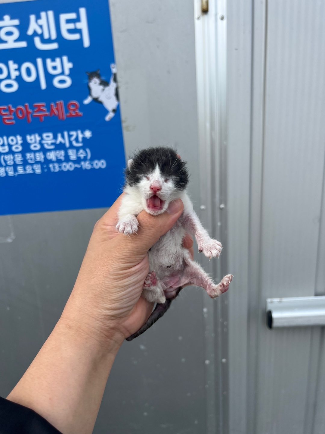 종료(자연사) 한국…