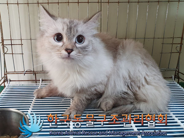 한국동물구조관리협회_411322202300313