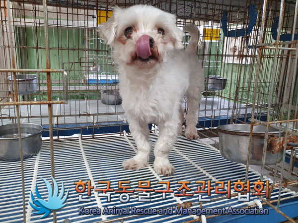한국동물구조관리협회_441406202300641