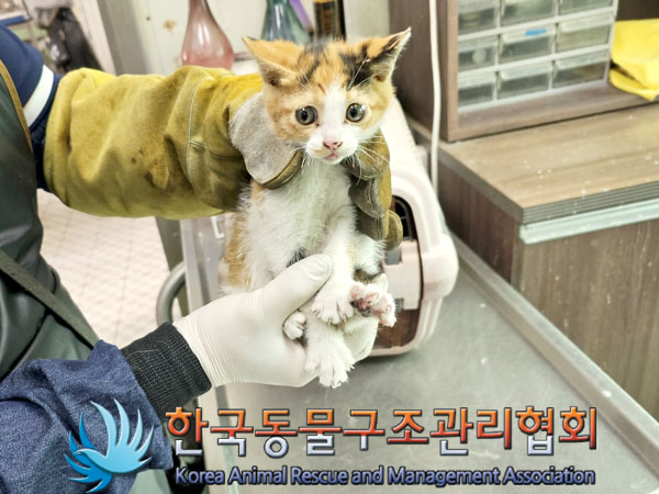 한국동물구조관리협회_411315202300293