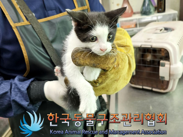 한국동물구조관리협회_411315202300294