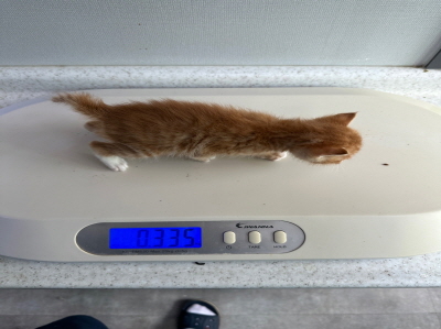 누리동물병원_426340202300106