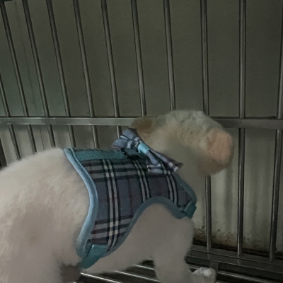 누리동물병원_426340202300105
