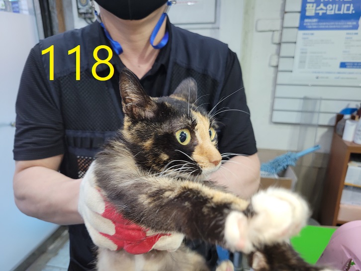 신영재동물병원_428355202300204