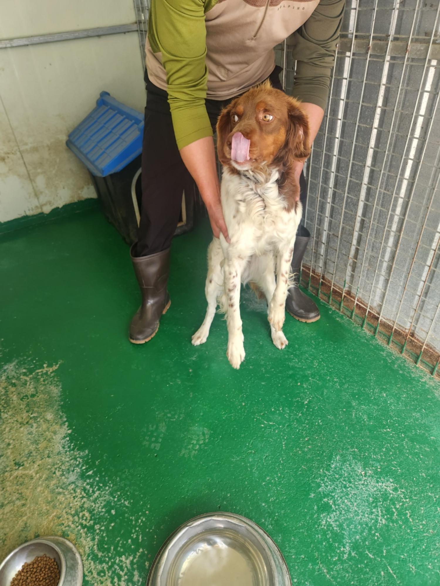 예천군유기동물보호소_447523202300350