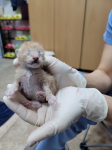 제주 동물보호센터_450650202301540