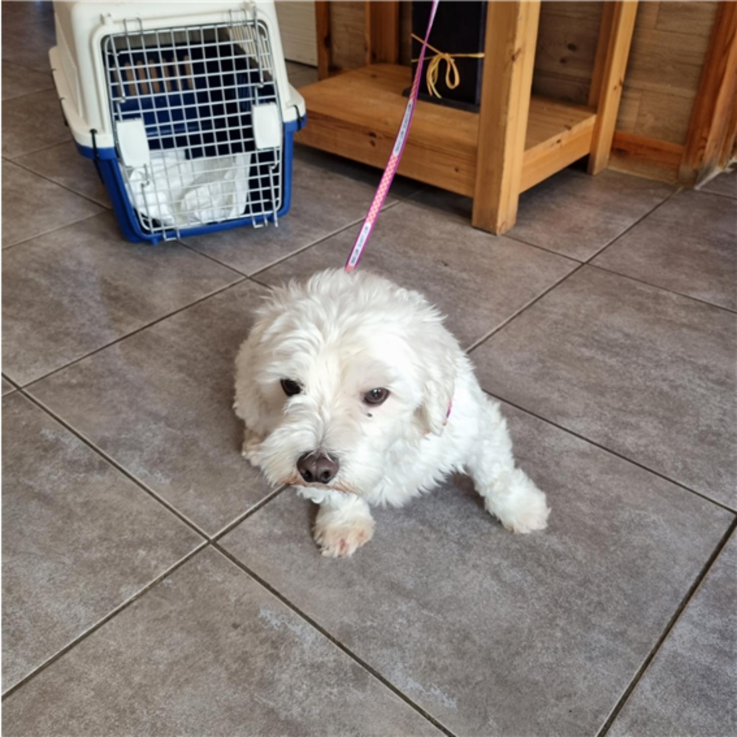 프렌즈동물병원_445464202301810