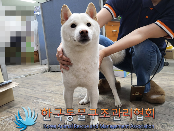 한국동물구조관리협회_411304202300316