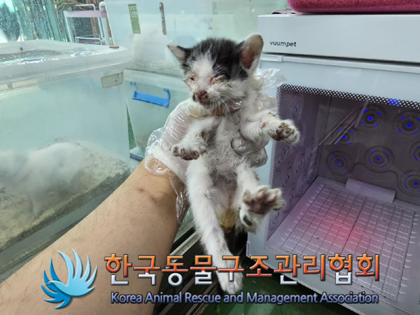 종료(자연사) 한국…